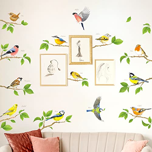 DECOWALL DS6-8061 Vögel Wandtattoo set Wandaufkleber Kolibriwandaufkleber für Schlafzimmer Wohnzimmer Kinderzimmer Flur Küche Fenster Deko Wanddeko von DECOWALL