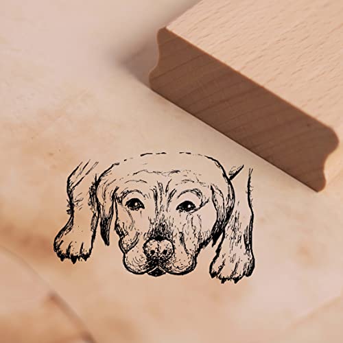 Motivstempel Schläfriger Labrador Stempel 38mm x 25mm von DEKO-LANDO