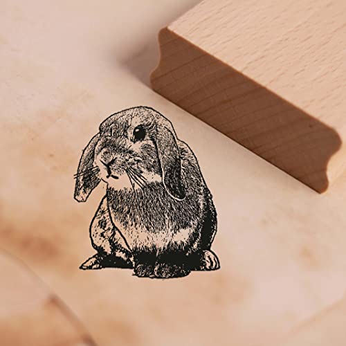 Motivstempel Süßes Zwergkaninchen Stempel Hase ca. 38 x 38 mm, Natur von DEKO-LANDO