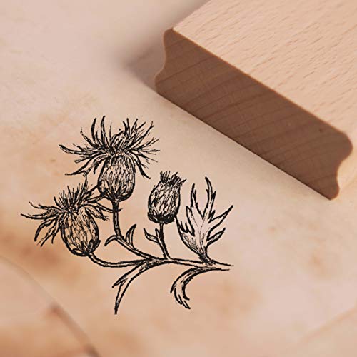 Stempel Acker-Kratzdistel - Motivstempel ca. 48 x 45 mm von DEKO-LANDO