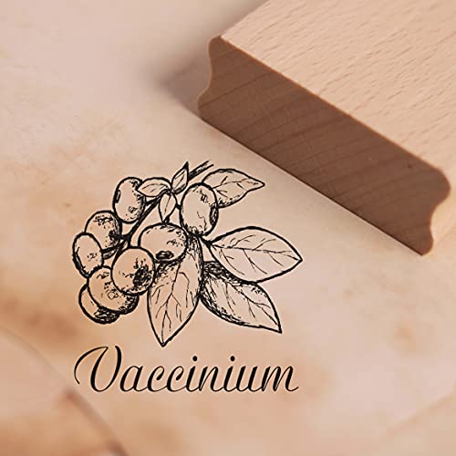 Stempel Heidelbeere - Vaccinium Motivstempel ca. 38 x 38 mm von DEKO-LANDO