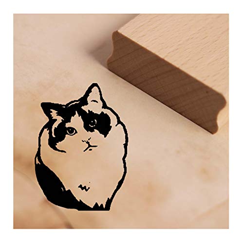 Stempel Motivstempel Katze Ragdoll - Katzenmotiv Holzstempel ca. 38x38mm von DEKO-LANDO