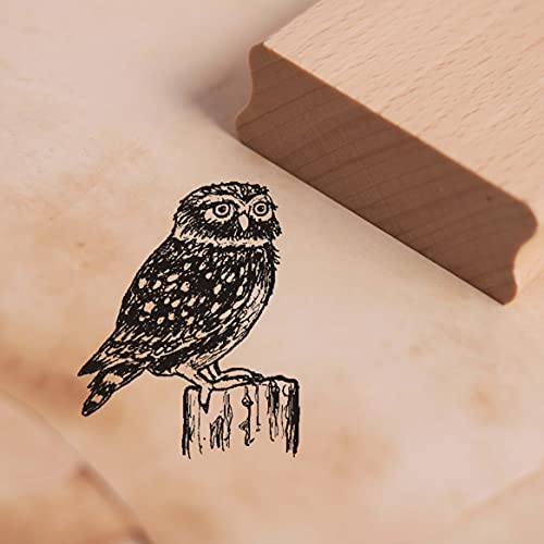 Stempel Steinkauz - Motivstempel ca. 38 x 47 mm von DEKO-LANDO