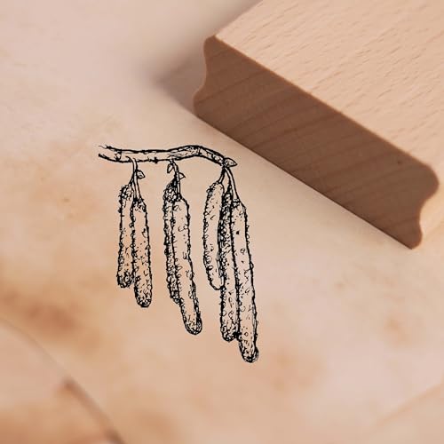 Motivstempel Haselnussblüte - Haselnussstrauch Stempel Holzstempel Scrapbooking 28 x 38 mm Motivstempel Haselnussblüte - Haselnussstrauch Stempel Holzstempel Scrapbooking 28 x 38 mm von DEKOLANDO