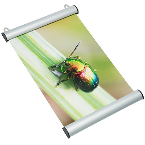 DELIGHT DISPLAYS® Klemmschiene Snap aus Alu DIN B1 Quer Posterschiene Posterleiste Plakatschiene 1000 mm von DELIGHT DISPLAYS