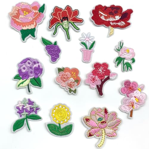 DHER 13pcs Blumen Bügelflicken Bestickte Aufnäher Stickereien Aufnäher Applikation für Kleidung Aufgestickter Aufnäher aus Stoff für Jacken, Jeans, Röcke, Rucksäcke und Hüte (B) von DHER