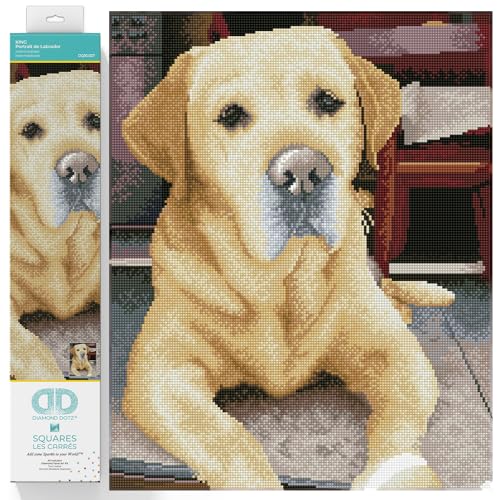 DIAMOND DOTZ 2592631 Original 5D Diamond Painting Squares Set, Labrador, DIY Diamant-Malerei-Kit mit quadratischen Glitzersteinen für Erwachsene und Kinder ab 12 Jahren, Intermediate von DIAMOND DOTZ