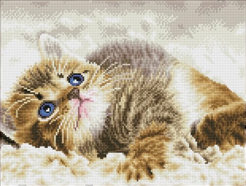 DIAMOND DOTZ DQ8.006 - Original 5D Diamond Painting Squares Set Katze Baby Pie, Kreativset mit 17.595 quadratische Diamant Mosaiksteinen, Malset ca. 31 x 41 cm für Erwachsene und Kinder ab 8 Jahren von DIAMOND DOTZ