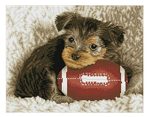 DIAMOND DOTZ DQ8.017 - Original 5D Diamond Painting Squares Set Hund Football, Kreativset mit 18.207 quadratische Diamant Mosaiksteinen, Malset ca. 32 x 41 cm für Erwachsene und Kinder ab 8 Jahren von DIAMOND DOTZ