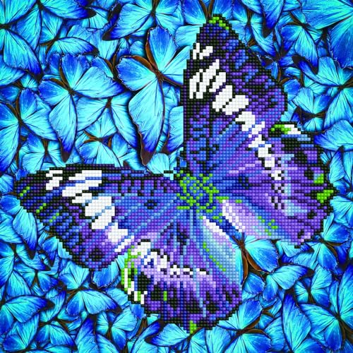 Diamond Dotz DD5-017 Schmetterling violett, ca. 30,5 x 30,5 cm groß, Diamond Painting, Malen mit Diamanten, funkelndes Bild zum Selbstgestalten, für Kinder und Erwachsene von DIAMOND DOTZ