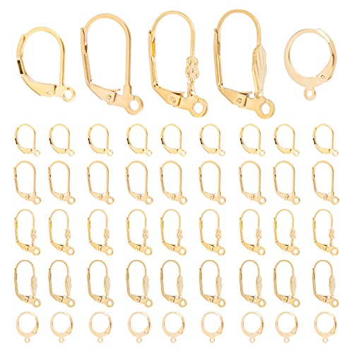 DICOSMETIC 50 Stück 5 Stile Golden Hebel Ohrringe Edelstahl Französische Ohrhaken Leverback Ohrring Haken Ohrringe Selber Machen Baumelnde Ohrhaken Für DIY Ohrring Schmuckherstellung von DICOSMETIC