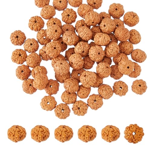 DICOSMETIC 70 Stück Natürliche Rudraksha Lose Perlen 12mm Runde Bodhi Perlen Aus Holz Meditations Gebetsperlen Ungefärbte Dunkelbraune Holzperlen von DICOSMETIC