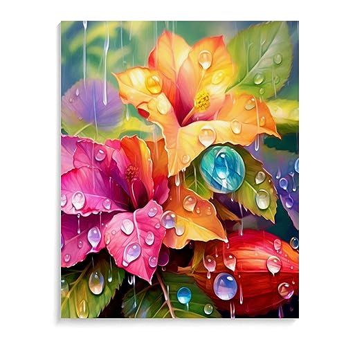 DIICMA Malen Nach Zahlen Für Erwachsene Anfänger Und Kinder Blumen im Regen DIY Ölmalerei Acrylmalerei Geschenk Kits Style-N 40X50CM von DIICMA