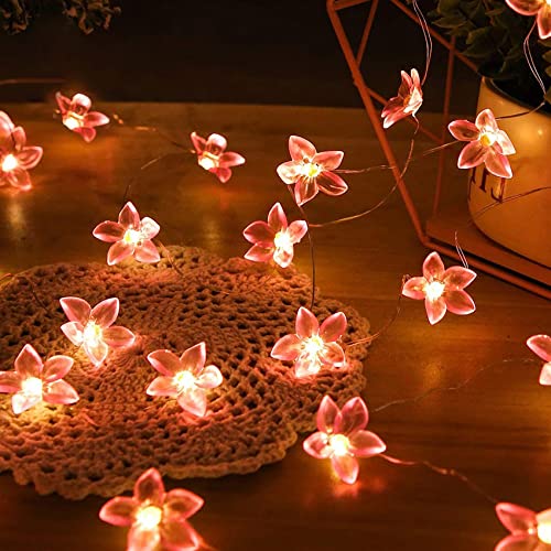 DINOWIN Blumen Lichterketten Batteriebetrieben für Schlafzimmer 9.8ft 20 LED Spiegel Dekorative Fee funkelnd Lichterkette für Wohnzimmer Vorhang, Terrasse (Rosa Blüte) von DINOWIN