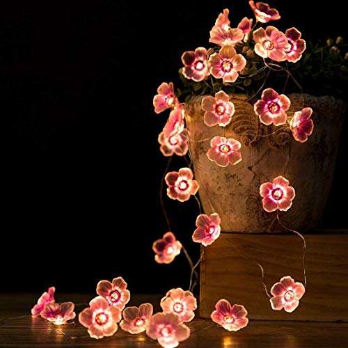 LED Blumen Lichterkette, DINOWIN 9.8ft 30 LEDs Rosa Kirschblüte Lichterketten aus Kupfer Batteriebetrieben Fun Room Lichter für Wandhochzeits-Geburtstagsfeier-Dekoration von DINOWIN