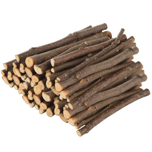 DIRBUY Holzstäbchen zum Basteln, natürliche Apfelstäbe, Birkenholz, Bastelstäbe für Heimwerker, rustikale Heimdekoration, Schulprojekte, Bastelfüller, 0,5 - 0,1 cm Durchmesser, 600 Stück von DIRBUY