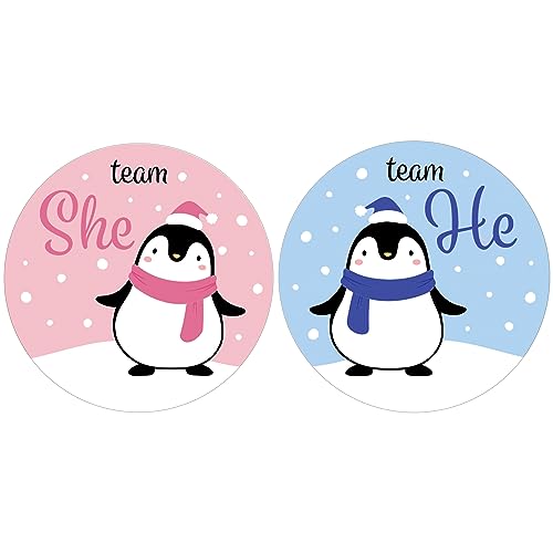 Penguin Gender Reveal Party – Team He or Team She Waddle It Be – 40 Etiketten von DISTINCTIVS