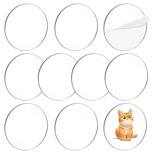 10 Stück Acrylglas Platte Rund 15 cm Transparente Acrylglas Scheiben 1mm Dick Runde Perforierte Platte für Schlüsselanhänger Rohlinge Heimdekoration Kuchen DIY Herstellung von DIVINA VITAE