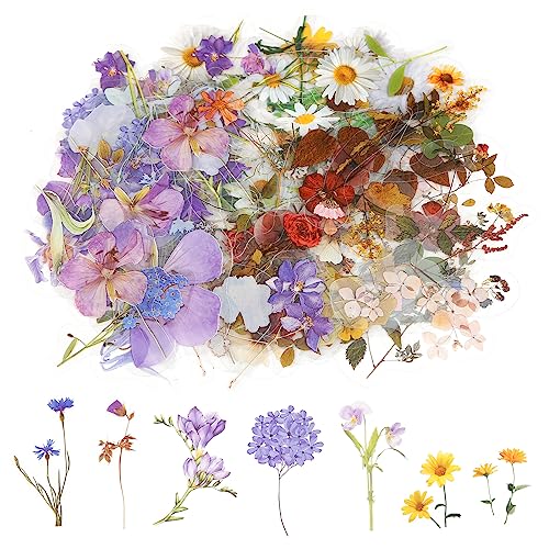 120 Stück Blumen Aufkleber Set Wasserfeste Aufkleber für Scrapbooking Transparente Pflanzenaufkleber Vintage Blumenaufkleber Bunte Sticker Blumen für DIY Tagebücher Karten Fotoalben von DIVINA VITAE