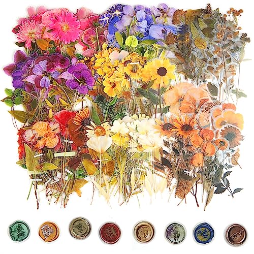 Blumen Sticker 320 Stück Blumen Aufkleber Set Geprägte PET Botanische Sticker Vintage Aquarell Aufkleber Transparente Bunte Blumenaufkleber für Scrapbook Tagebuch DIY Karten Album von DIVINA VITAE