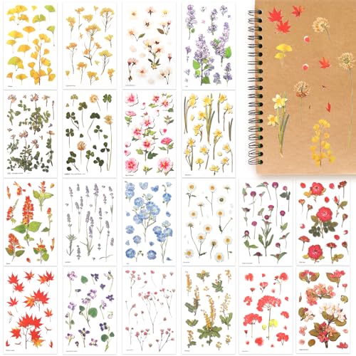 300 Pcs Sticker Blumen 20 Blatt Scrapbooking Sticker Selbstklebende Gepresste Wildblumen Aufkleber Tagebuch-Aufkleber Scrapbooking Set für Junk-Tagebuch-Planer zum Dekorieren von Wasserflaschen von DIVINA VITAE