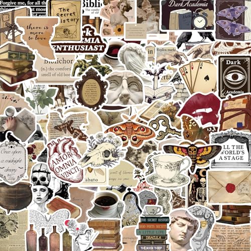 DIWSO 100 Pcs Vintage Ästhetische Aufkleber für Laptop Scrapbooking Notebook Gitarre Koffer Skateboarding, schöne Vinyl Retro-Aufkleber für Jugendliche, Jungen, Mädchen, Kinder von DIWSO