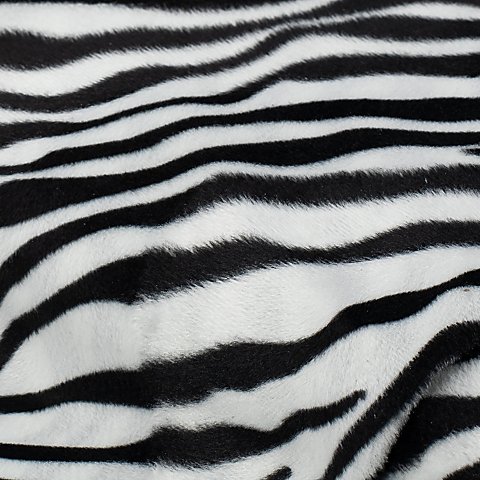 Fellimitat Zebra