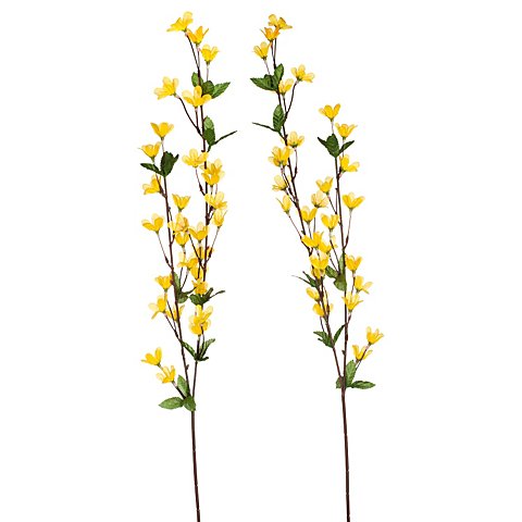 Forsythienzweig, 75 cm, 2 Stück