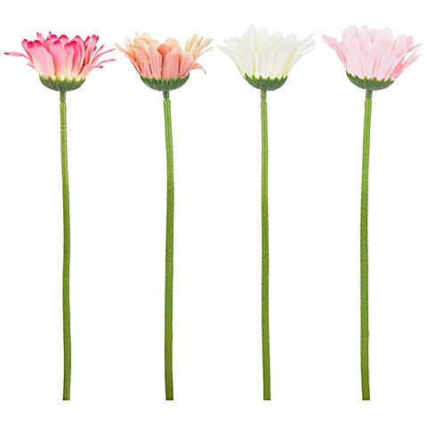 Gerbera, weiß-apricot-rosa-dunkelrosa, 28 cm, 4 Stück