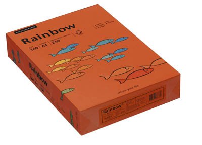 Rainbow Kopierpapier 88042461 A4 160g intensivorange 250 Bl./Pack.