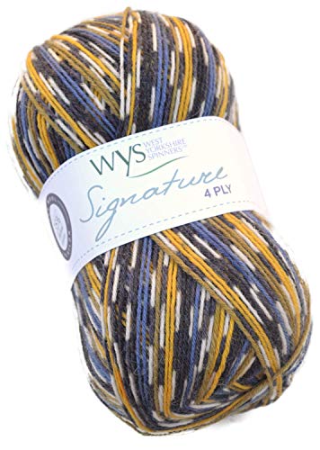 WYS Bluefaced Leicester Wolle Signature 4ply Sock Yarn 818 - blaumeise, 100g Wolle, Sockenwolle musterbildend mit Blue Faced Leicester Wool von West Yorkshire Spinners