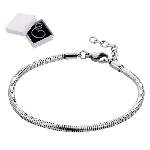 DIYEAH 1 Satz Schlangenknochenarmband Kettenarmbänder Armbandschmuck Stapel Lünette Armreif armband für frauen geburtstagsgeschenk Schlangenkette Bettelarmbänder für Damen Karton Silver von DIYEAH