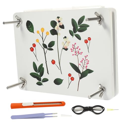 DIYEAH 1 Set Mini Goldblumen Spielzeugblumen Bastelset Pressset Pflanzenpresse Blumenset Bastelsets Künstliche Topper Gepresste Frische Blumen Obstpresswerkzeug von DIYEAH