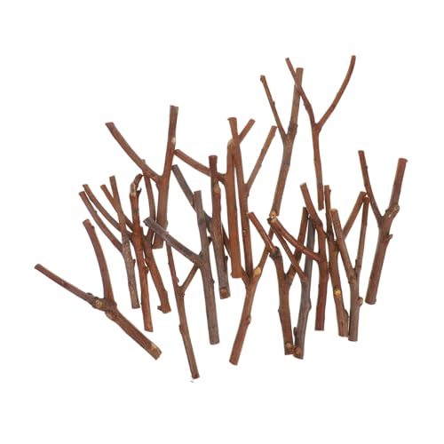 DIYEAH 20st Zweigmaterial Foto-requisiten Zweige Diy Zweige Schulprojekt-sticks Zweige Zum Selbermachen Bastelzweig Kleine Bastelstäbchen Diy Vasenfüller Foto-stick Stockpfahl Holz Brown von DIYEAH