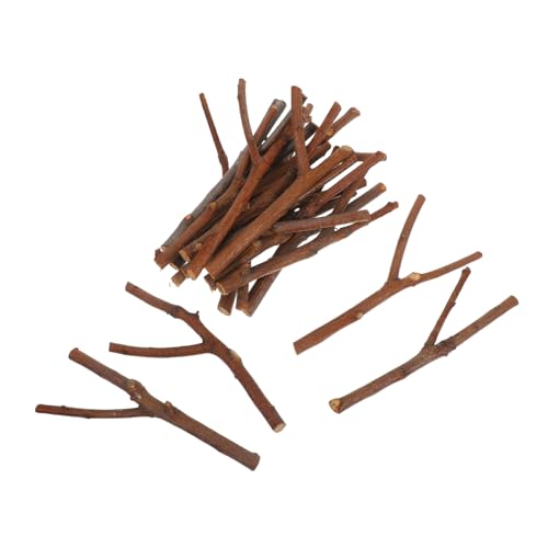 DIYEAH 20st Zweigmaterial Foto-stick Diy Vasenfüller Natürliche Bastelzweige Natürliche Zweige Stecken Natürlicher Baumzweig Zweige Zum Selbermachen Diy Zweige Unfertiger Stock Holz Brown von DIYEAH