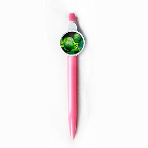 DIYthinker Fresh Fruits Lemon Picture Photography Retractable Kugelschreiber Roller Ball Pen Blue von DIYthinker