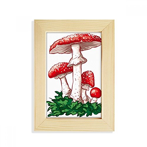 DIYthinker Köstliche Roter giftiger Pilz Illustration Desktop-HÖlz-Bilderrahmen Fotokunst-Malerei Passt 10.2 x 15.2cm (4 x 6 Zoll) Bild Mehrfarbig von DIYthinker