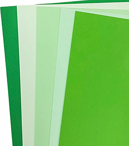 DJP 80 g/m² Grüne Tönungspapier-Packung – 5 Farben, 100 Blatt – 20 Stück pro Farbe von DJP