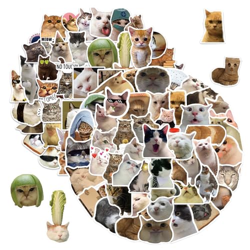 DKLQXCE Katzen Sticker,100 Stück Lustige Vinyl Katzenaufkleber, Kawaii Tier Aufkleber Wasserdichte Vinyl Aufkleber für Laptop Skateboard Fahrrad Scrapbook Motorrad Koffer für wachsene Kinder von DKLQXCE