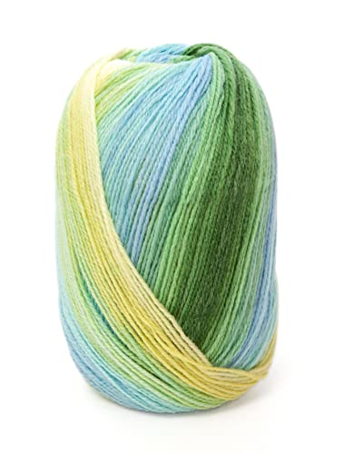 DMC - BRIO, ideal für die Herstellung von Kleidungsstücken - Stricknadel Nr. 4-80% Acryl und 20% Wolle | 100 Gr, 345 m, 18 Farben von DMC