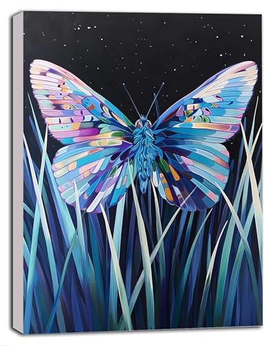 DIY Malen Nach Zahlen Erwachsene Schmetterling, Malen Nach Zahlen Sternenhimmel Malen Nach Zahlen ab 9 Jahre Mädchen mit Pinseln und Acrylfarben, Paint by Numbers für Deko, Geschenke 20 x 30 cm 4-A von DOENGYAH