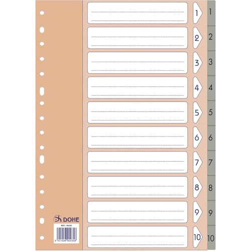 Dohe Register mit 2 und 4 Ringen, 10 Stück, A4-Format, nummeriert 1-10, robuster Kunststoff, 180 Mikron, 16 Löcher, Grau von DOHE