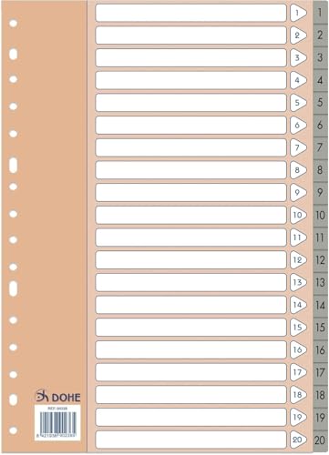 Dohe Register mit 2 und 4 Ringen (20 Stück), A4-Format, nummeriert 1-20, robuster Kunststoff, 120 Mikron, 16 Löcher, Grau von DOHE