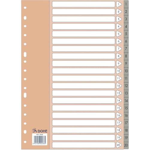 Dohe Register mit 2 und 4 Ringen (20 Stück) – Register im Folio-Format (22,7 x 31,5 cm), nummeriert 1–20, robuster Kunststoff 120 Mikron, 16 Löcher – Grau von DOHE