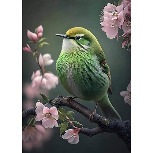 DOMROM Diamant Painting Bilder Vogel, Blumen Diamant Painting Set für Erwachsene, Diamant Painting Bilder Vollbohrer 5D DIY Malen nach Zahlen Diamant Anfänger für Gift Home Wall Decoration 30x40cm von DOMROM