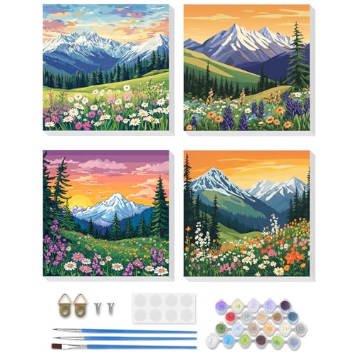 DOMROM Malen Nach Zahlen Erwachsene, 4 Stück Malen Nach Zahlen mit Rahmen Landschaft, Sonnenuntergang Paint By Numbers Adults Blumen Berge Handgemalt Acrylic Öl Leinwand Rahmen Gemälde Set(20x20cm) von DOMROM