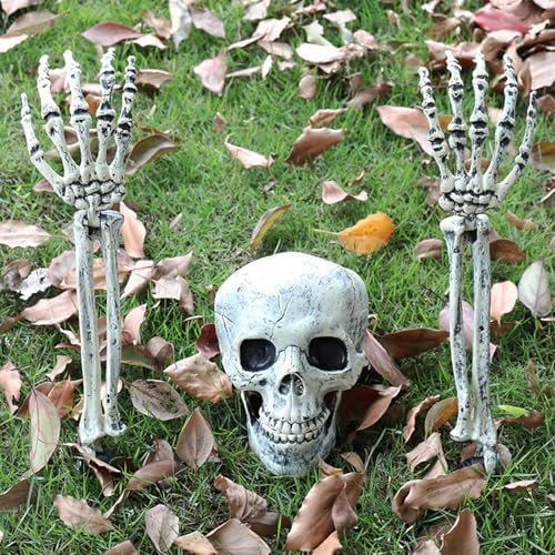 DONJIM Halloween Deko Skeleton, 3PCS Realistische Halloween Dekorationen Outdoor Skelett Kopf und Arme Knochen, Bewegliche Gelenke Lebensgröße Skelett für Halloween Garten Friedhof Dekorationen von DONJIM