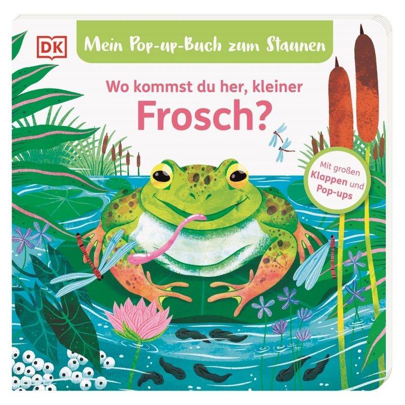 Mein Pop-Up-Buch Zum Staunen. Wo Kommst Du Her, Kleiner Frosch? - Sandra Grimm, Pappband von DORLING KINDERSLEY VERLAG