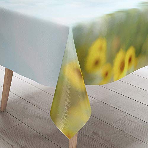 Tischdecke Abwaschbar, DOTBUY Sonnenblume Wasserabweisende Tischdecke Rechteckig Abwischbare Wachstuch für Desktop Dekorative Tuch Hotel Bankett Party Garten (Baiyun,100x140cm) von DOTBUY-shop