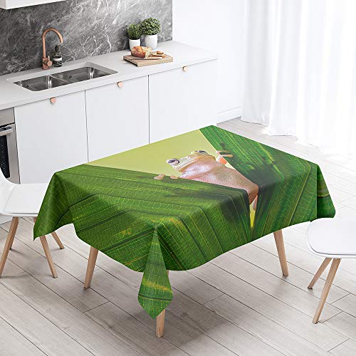 Tischdecke Abwaschbar, DOTBUY Wasserabweisende Tischdecke Rechteckig Abwischbare Wachstuch für Desktop Dekorative Tuch Hotel Bankett Party Garten (Frosch,90x90cm) von DOTBUY-shop